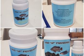 Enzim Padjadjaran