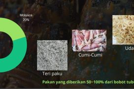 Pakan-Alami
