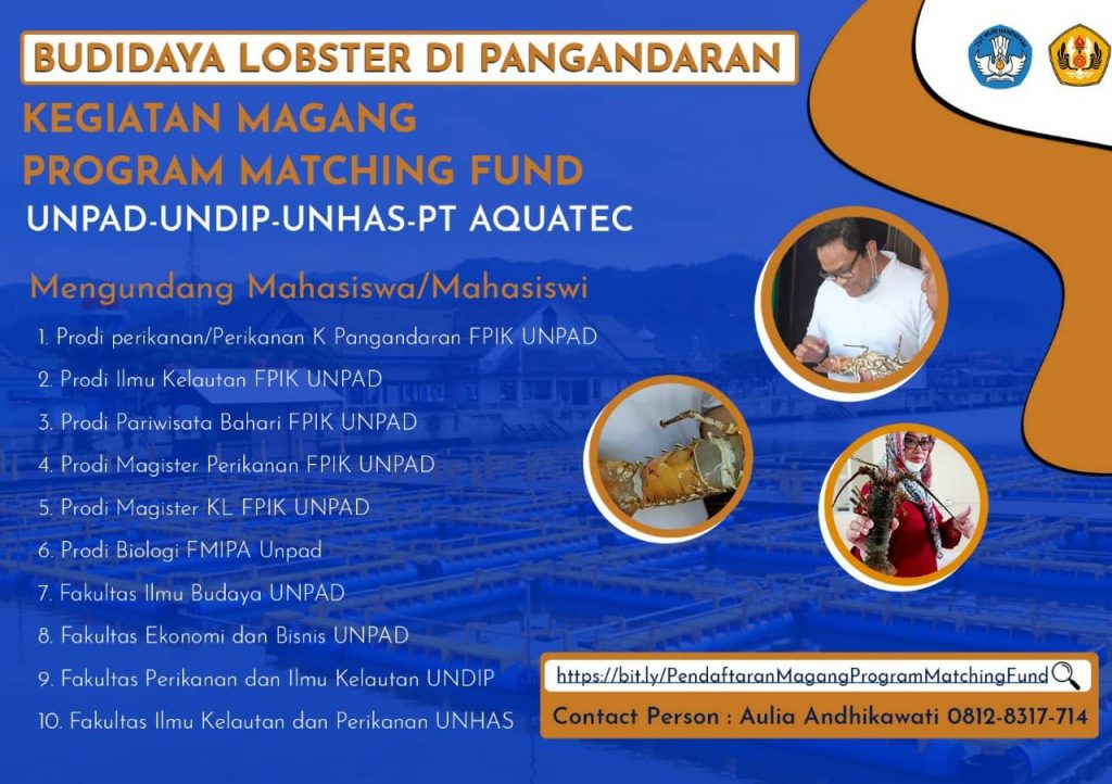 Budidaya Lobster di Pangandaran: Kegiatan Magang Program Matching Fund (UNPAD-UNDIP-UNHAS-PT AQUATEC)