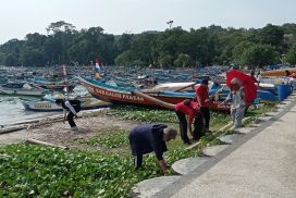 Coastial Cleanup – Universitas Padjadjaran Pangandaran