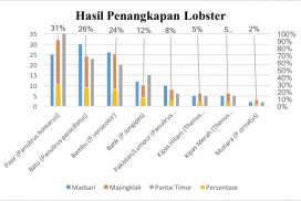 Tangkapn Lobster